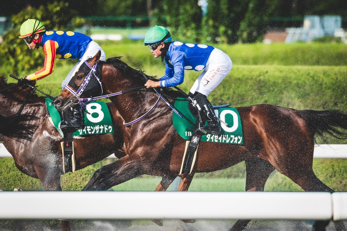 E3%82%BF%E3%82%A4%E3%82%BB%E3%82%A4%E3%83%89%E3%83%AC%E3%83%95%E3