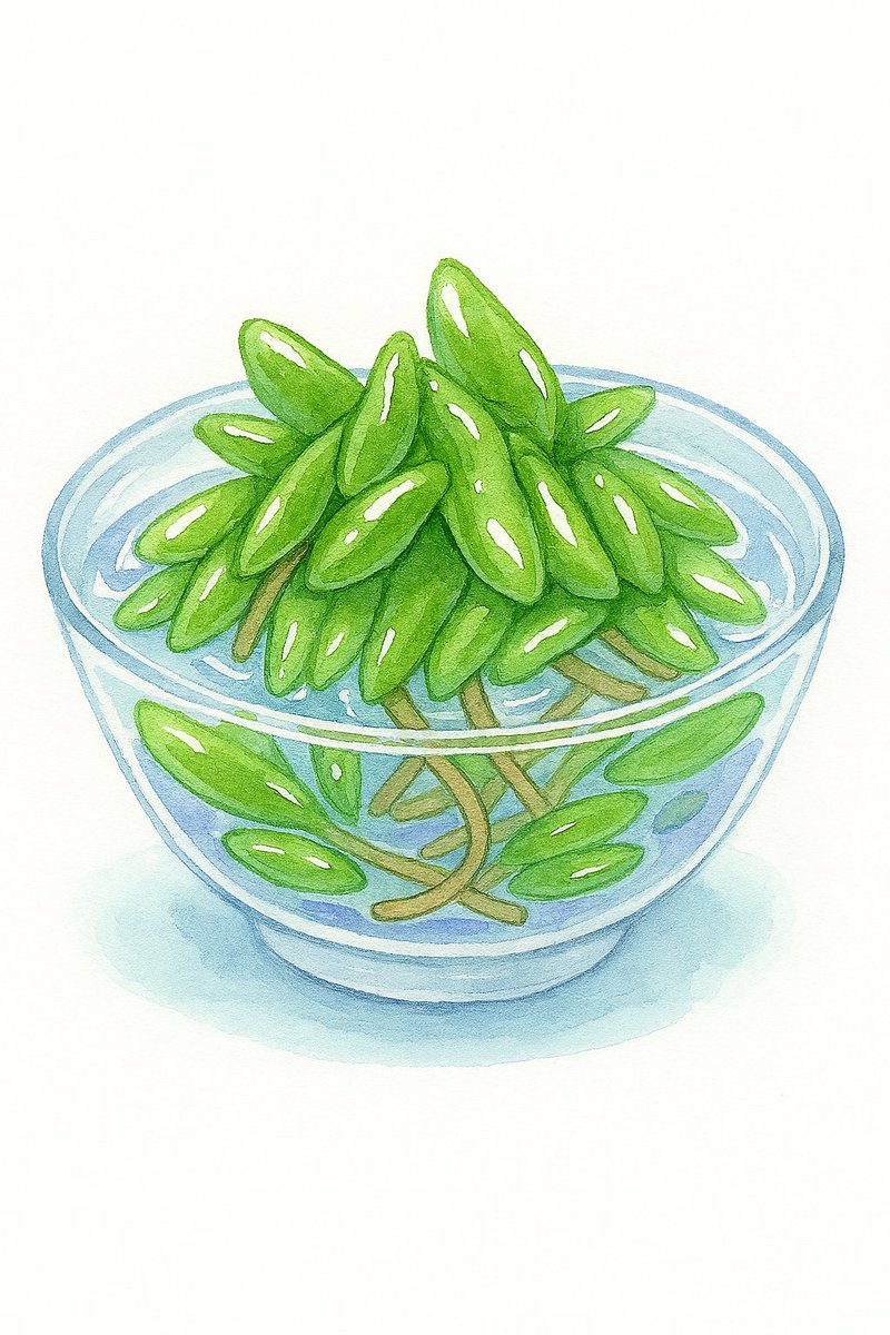 お花畑 (@hanakohana40355) / Posts / X