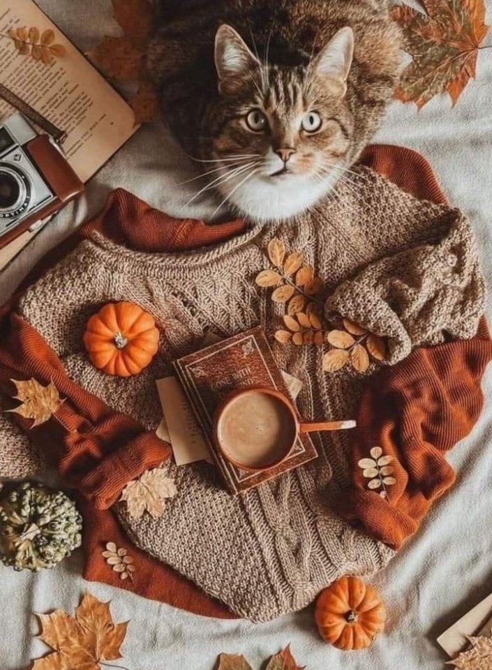 GM☕️🌞
#1DDrive

<a href="/Tweet_Alphabet/">ALPHABET</a>
<a href="/kom_ofis/">#MY2KOM #MGWV #1DDrive</a> <a href="/jitin84/">Jitin Sharma</a>
<a href="/GRAHAM15583/">🅶🆁🅰🅷🅰🅼</a>
<a href="/ProximalK58/">Khan</a>
<a href="/ARIFJALALI/">arif jalali</a>
<a href="/NlHILIST/">🎩LORD NIHILIST♪ IFB ALL: UNFOLLOW=BLOCK</a> <a href="/Seko_MD/">seko.m.m🐐</a>
<a href="/Luisa1E/">Luisa Elena 🌹Luisa🌷</a> <a href="/majd9757/">M</a>
<a href="/Hansraj06914151/">Hansraj Chauhan</a>
<a href="/morgan2k21/">Stan Harvard</a> <a href="/Tanzila420/">Tanzila 130k 😜</a>
<a href="/andreawan_/">andre</a> <a href="/MirCaro/">CaroMir</a>
<a href="/Ahksoglu/">Ksgl</a> <a href="/ladha_man/">Man Mohan Ladha</a>
<a href="/nazb4u/">メʝօɨռRΐ∂d͢͢͢leℝ</a> <a href="/GuenterK13/">Guenter</a>
<a href="/Luca25ita/">༄᭄𝐿ucas 🖤 #𝙇𝙤𝙫𝙚&𝙋𝙚𝙖𝙘𝙚𓅃</a> <a href="/ma_yeth/">[★][★]</a>
<a href="/lumpie125/">lumpie125</a> <a href="/bluea125/">BlueA125</a> <a href="/Siogo61/">@siogo61</a>