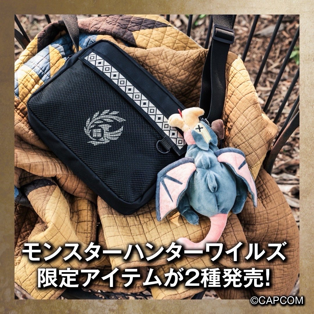 ⚔️💥情報解禁💥⚔️ #モンスターハンターワイルズ から、調査隊