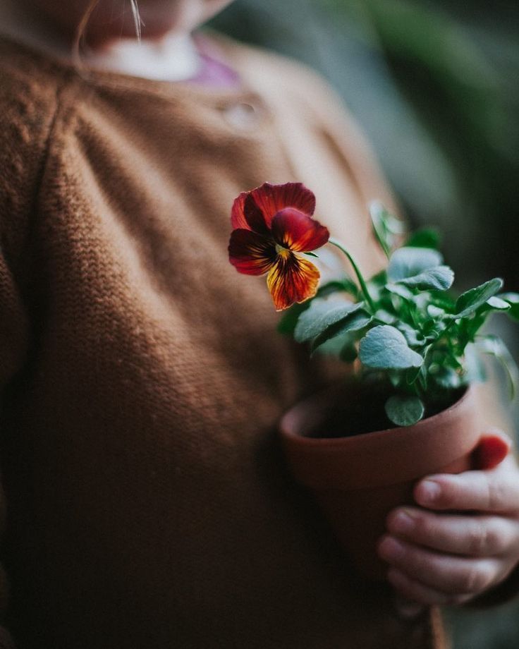 "Herkes seni ayakta durduğun kadar bilir,
Nasıl ayakta durduğunu bir sen bilirsin .."

صباح الخير '💌