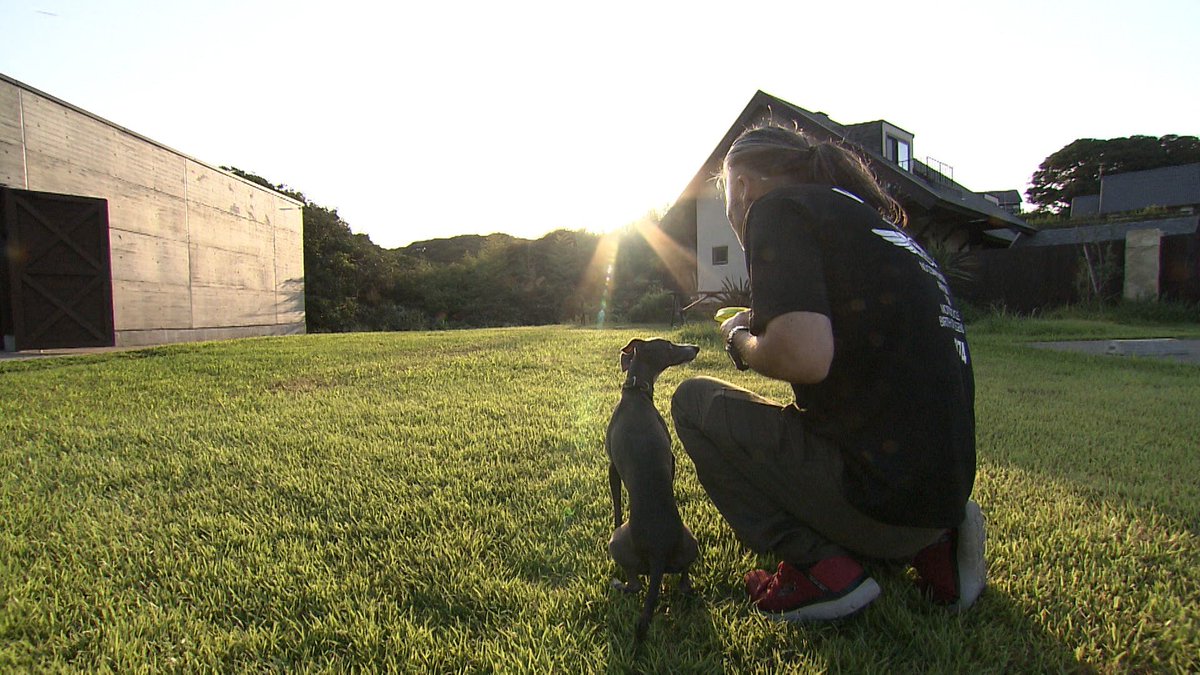 cx_mezamashi's tweet image. #きょうのわんこ に登場してくれたのは「リラ」でした🐶ご主人が経営するキャンプ場の看板犬🔥ご主人といっしょにやるフライングディスクが大好きなんだって😝

きょうのわんこはFODで無料配信中→fod.fujitv.co.jp/title/3291/
#めざましテレビ