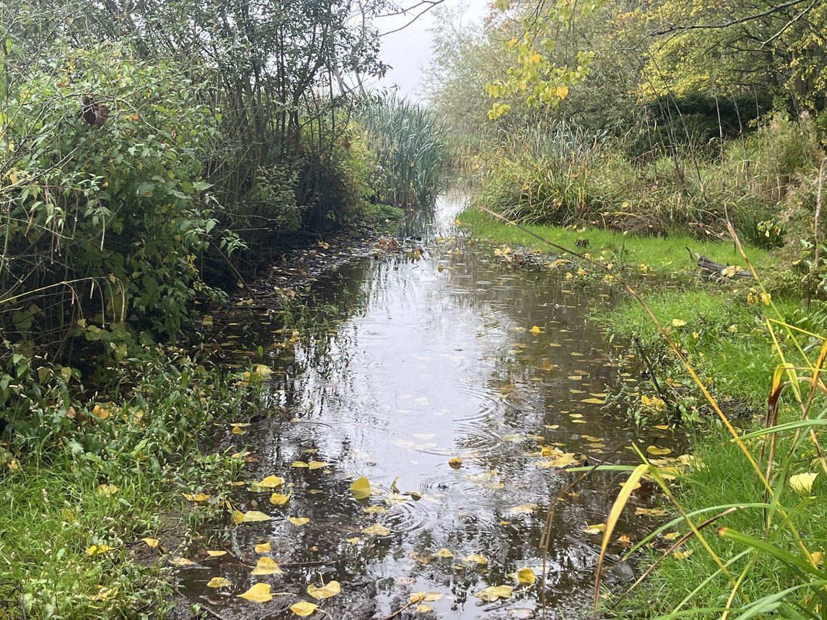 stuart_holmes1's tweet image. I’ve been in contact a number of times over the years with Surrey County Council in regards the continued flooding of the footpath from Cormongers Lane towards #Redhill which has been a problem for a number of years
