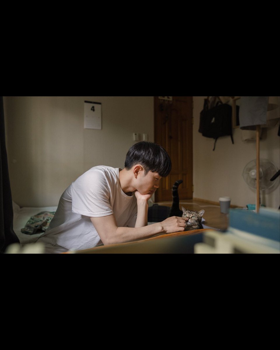 씨네소파 배급 일기 tweet media
