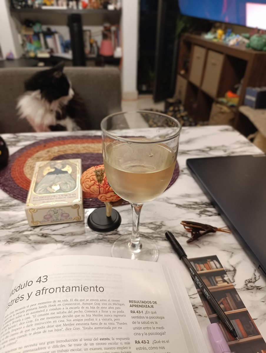 Qué puedes saber de mí por esta foto?