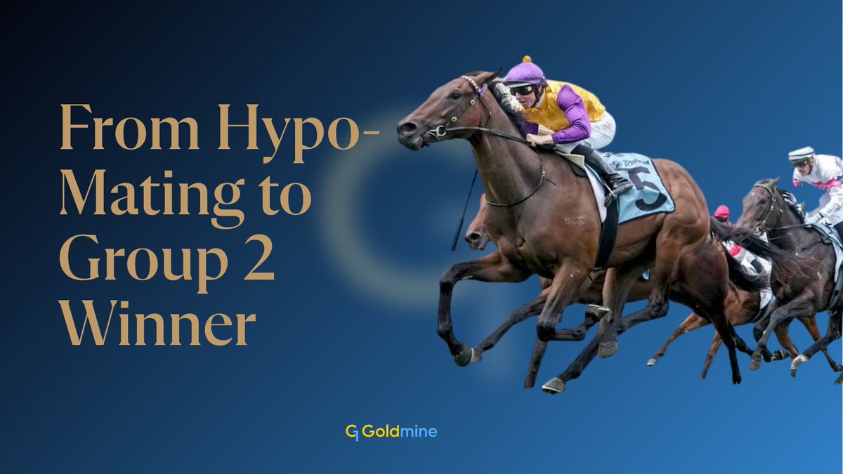 G1Goldmine (@g1goldmine) on Twitter photo A $14,000 yearling โ a Group 2 winner.
When <a href="/SwettenhamStud/">Swettenham Stud</a>  analysed broodmares for I Am Immortal using G1 Goldmine, Niki Piki Milo stood out as an Outstanding match.
The result? McGaw ๐
Read more in ANZ Bloodstock News: anzbloodstocknews.com/mcgaw/
#G1Goldmine #McGaw A $14,000 yearling โ a Group 2 winner.
When <a href="/SwettenhamStud/">Swettenham Stud</a>  analysed broodmares for I Am Immortal using G1 Goldmine, Niki Piki Milo stood out as an Outstanding match.
The result? McGaw ๐
Read more in ANZ Bloodstock News: anzbloodstocknews.com/mcgaw/
#G1Goldmine #McGaw
