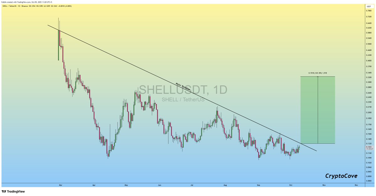 CryptoFaibik's tweet image. $SHELL is Ready to PAMP hard so Don&apos;t miss the RIDE..!!

#Crypto #SHELL #SHELLUSDT