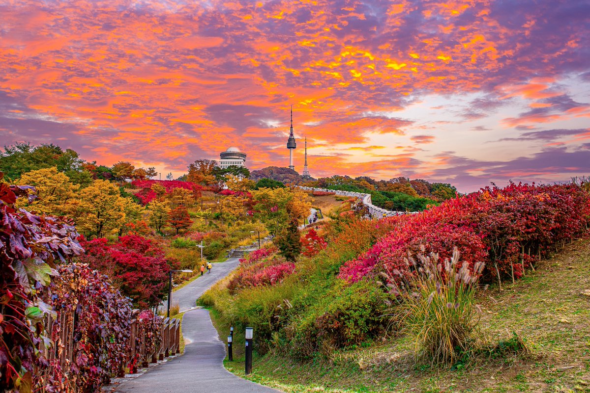 Wego's tweet image. Weegio’s Fall Moodboard 🍁

#Fall #Travel #FallColors