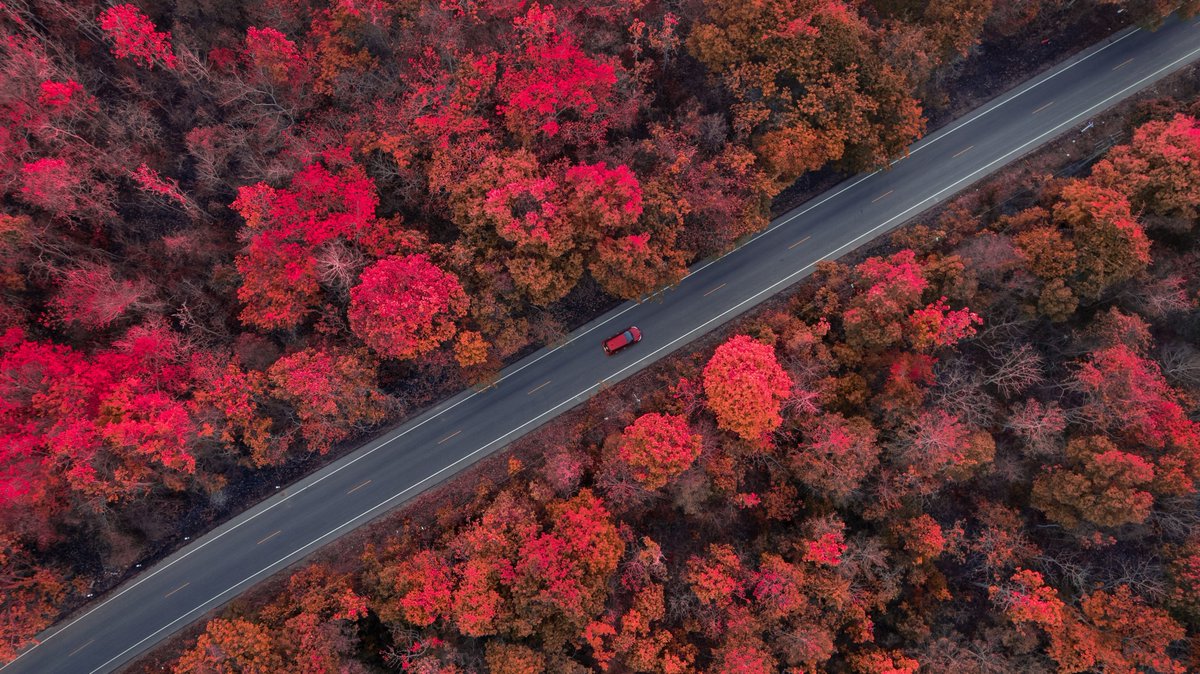 Wego's tweet image. Weegio’s Fall Moodboard 🍁

#Fall #Travel #FallColors