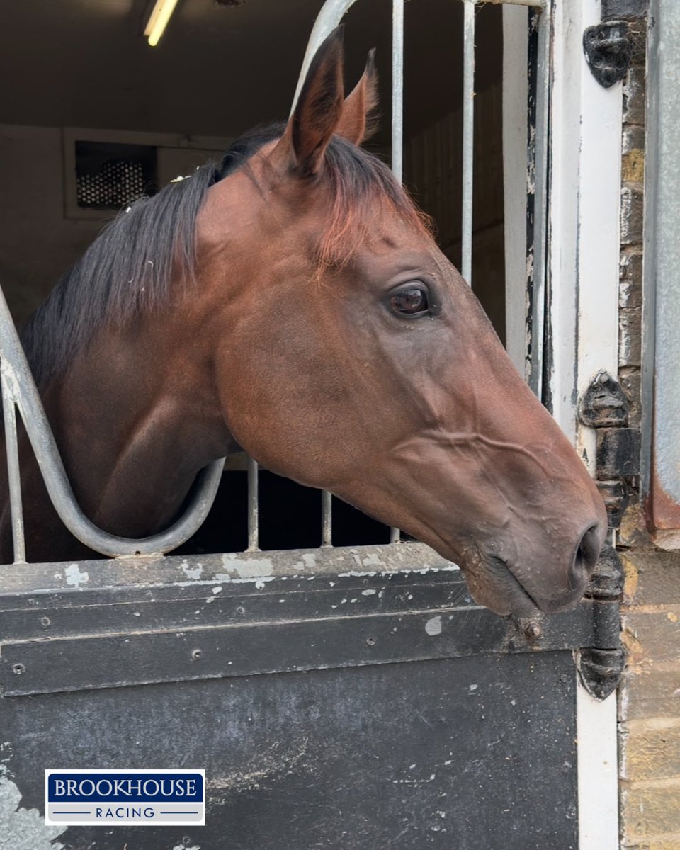 Brookhouse Racing tweet media