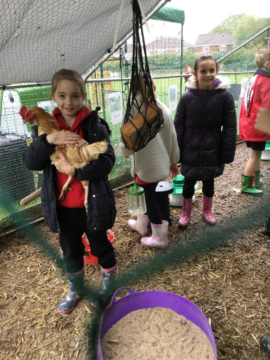 Class 8 had  a wet and soggy visit with the chickens and bunnies today but that didn’t dampen the children’s delight and enthusiasm.