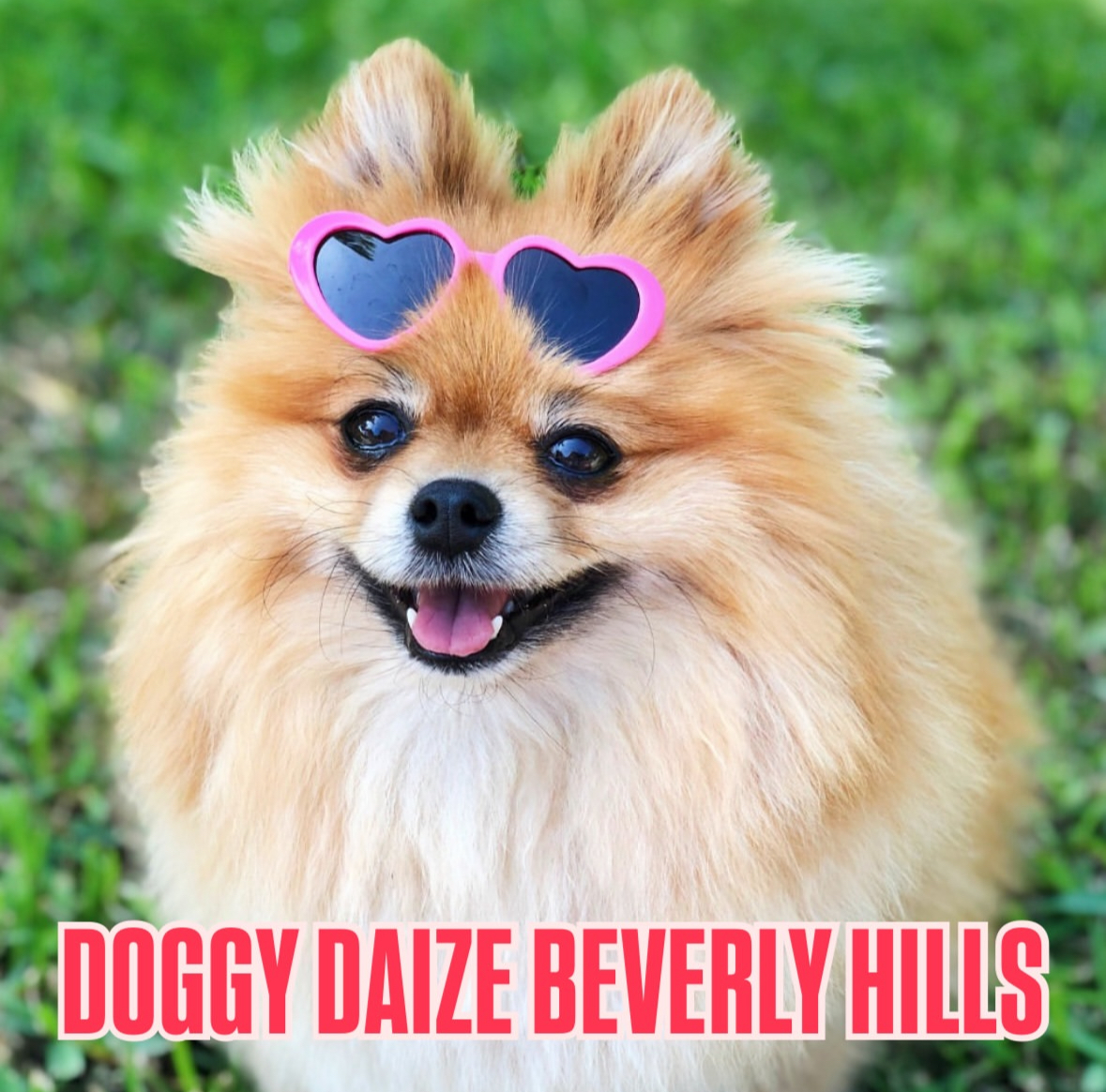 sharona4bh's tweet image. 🐾 Vendors wanted! Apply now for Doggy Daze 90210™ — Sunday, Nov 2 at Roxbury Park! 🐶🎉

Join the fun with a pet parade, talent show, vendors, food trucks &amp;amp; more.
Apply by Oct 16 👉 beverlyhills.org/csevents
#BeverlyHills #DoggyDaze90210 #CommunityEvents #AnimalLovers