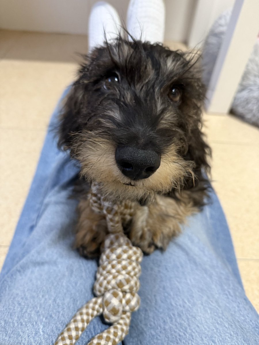 #Tekila sesión de mimos de los jueves de teletrabajo 🤷🏻‍♀️