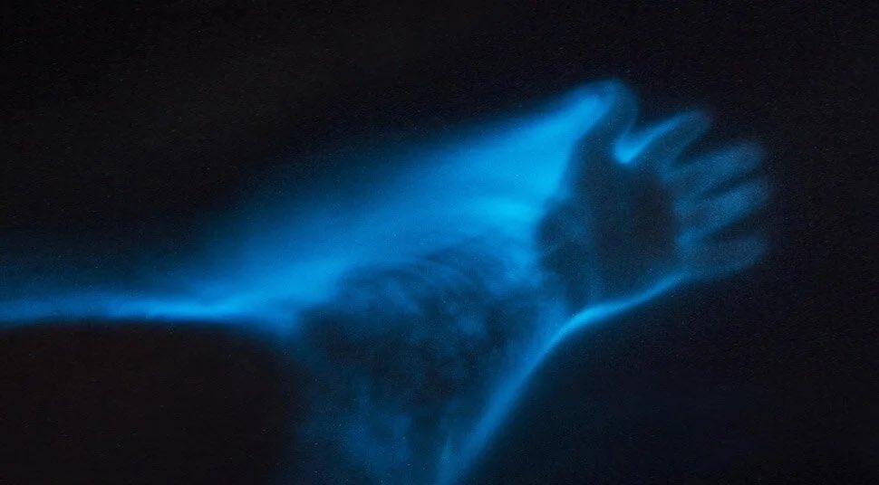 My hand lit by the light of countless bioluminescent organisms as I was slowly pulled in a canoe through Mosquito Lagoon in Florida a few years ago. A 30 second exposure to let that faint light buildup
