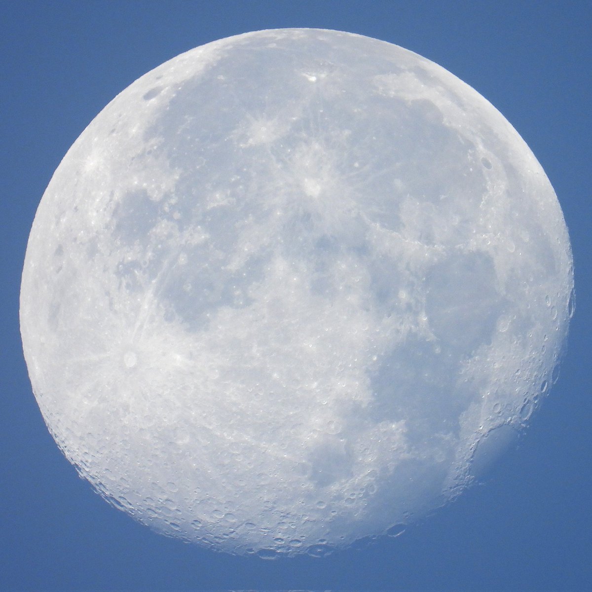 FunkyAppleTree's tweet image. Good mooning! 
My gibbous is currently waning at 93% 🌖 @StormHour @ThePhotoHour