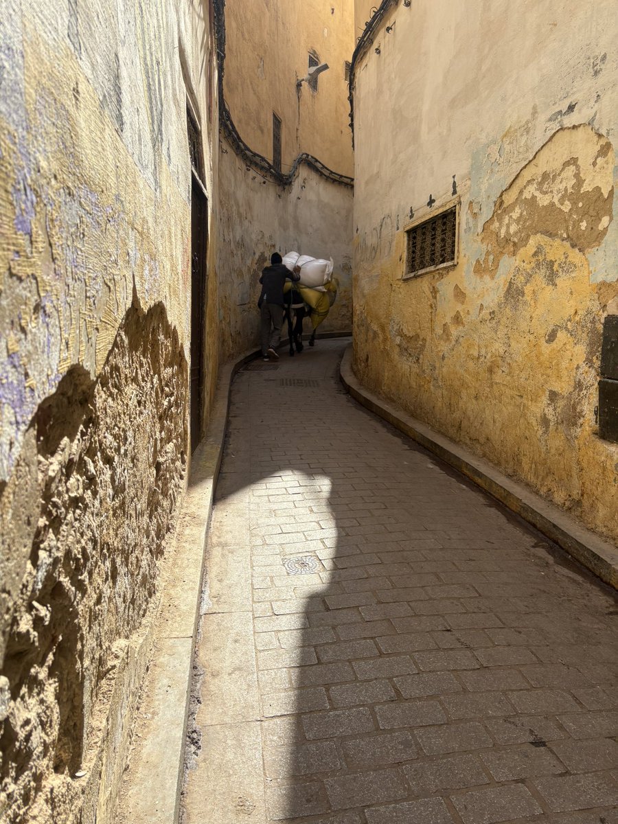 働き者ロバとオッチャン