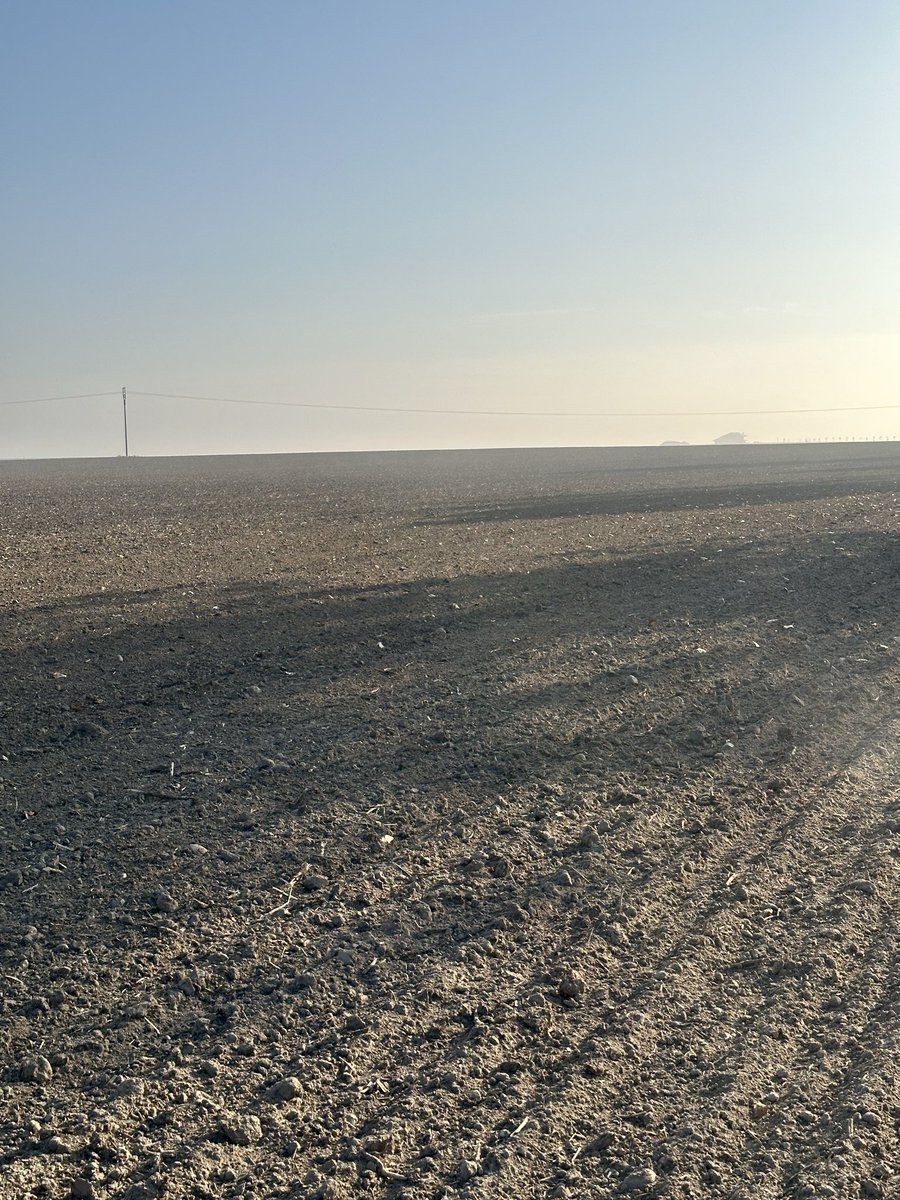 Męczy się ta pszenica , nie chce wyjść z ziemi. Siew 27.09.2025
PS . Za horyzontem Bialoruś