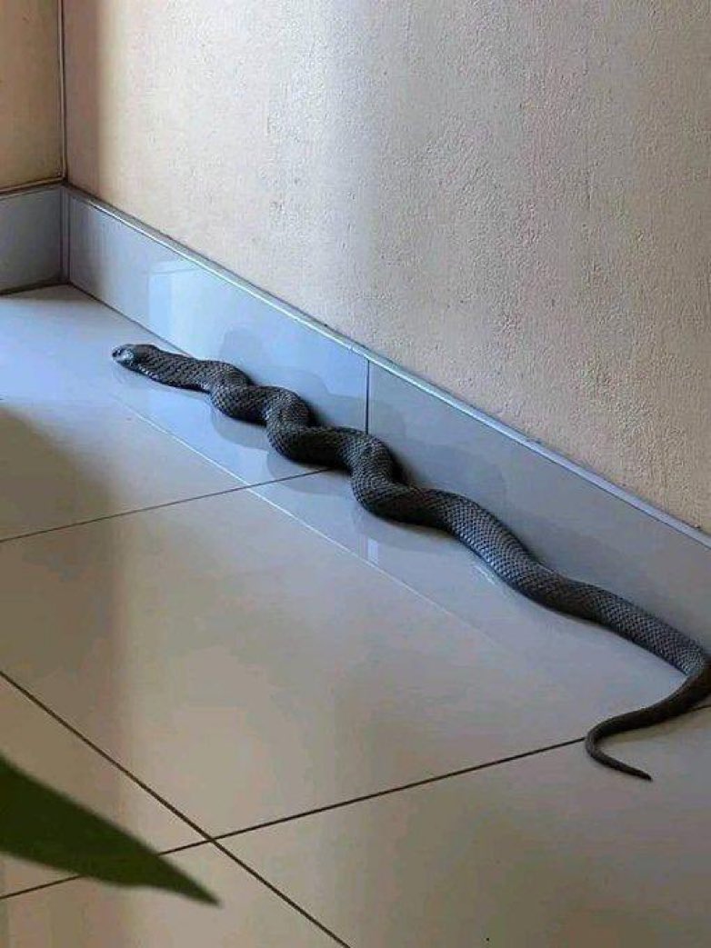 whitecheezpasta's tweet image. As a man, what will you do in this situation??