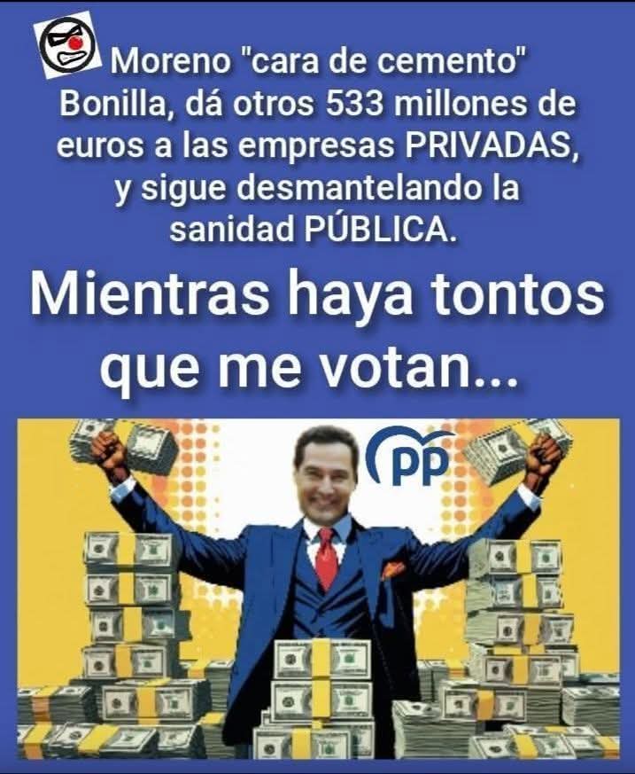 Privatización el origen del problema...