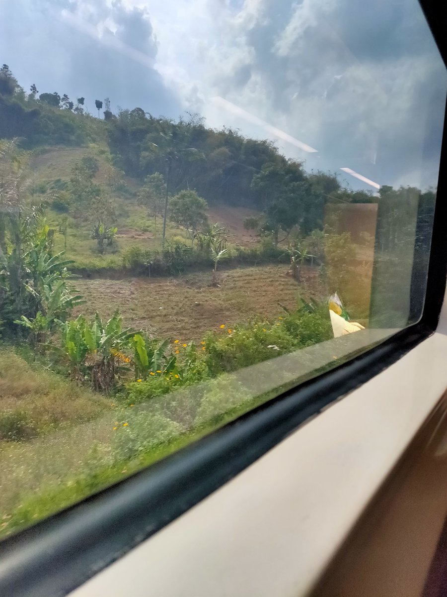 Di luar sana keliatannya panas banget yaaa 
😌😌😌😌😌