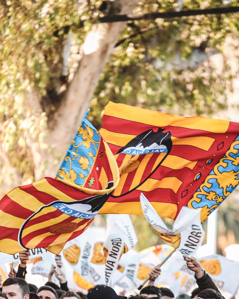 CN10_VLC's tweet photo. La millor terra del món. Feliç 9 d’Octubre 💙💛❤️

#CN10 #CurvaNord10 #VCF #ValenciaCF #Valencia https://t.co/moxQeCeaI4