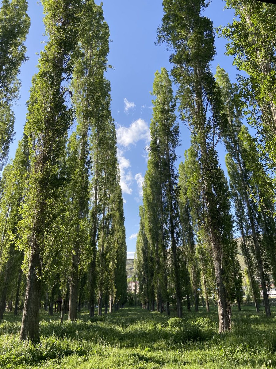 Sessiz,sakin bir ortamda doğaya karşı💆🏼‍♀️