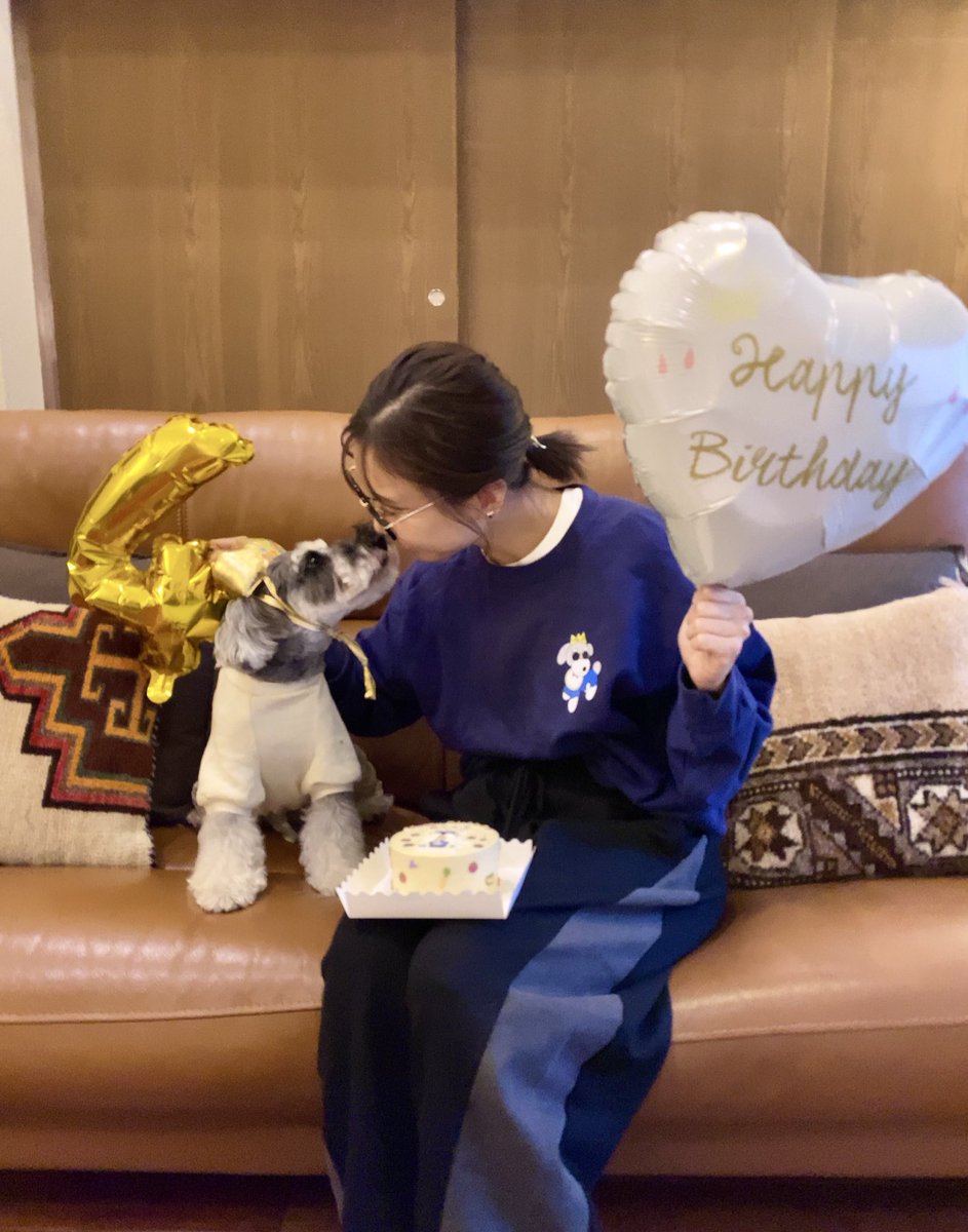 MjSaori's tweet image. Happy birthday りんぐ💛🎂
10.9 4歳✨
木根家に来てくれてありがとう！
大好きだよ♡