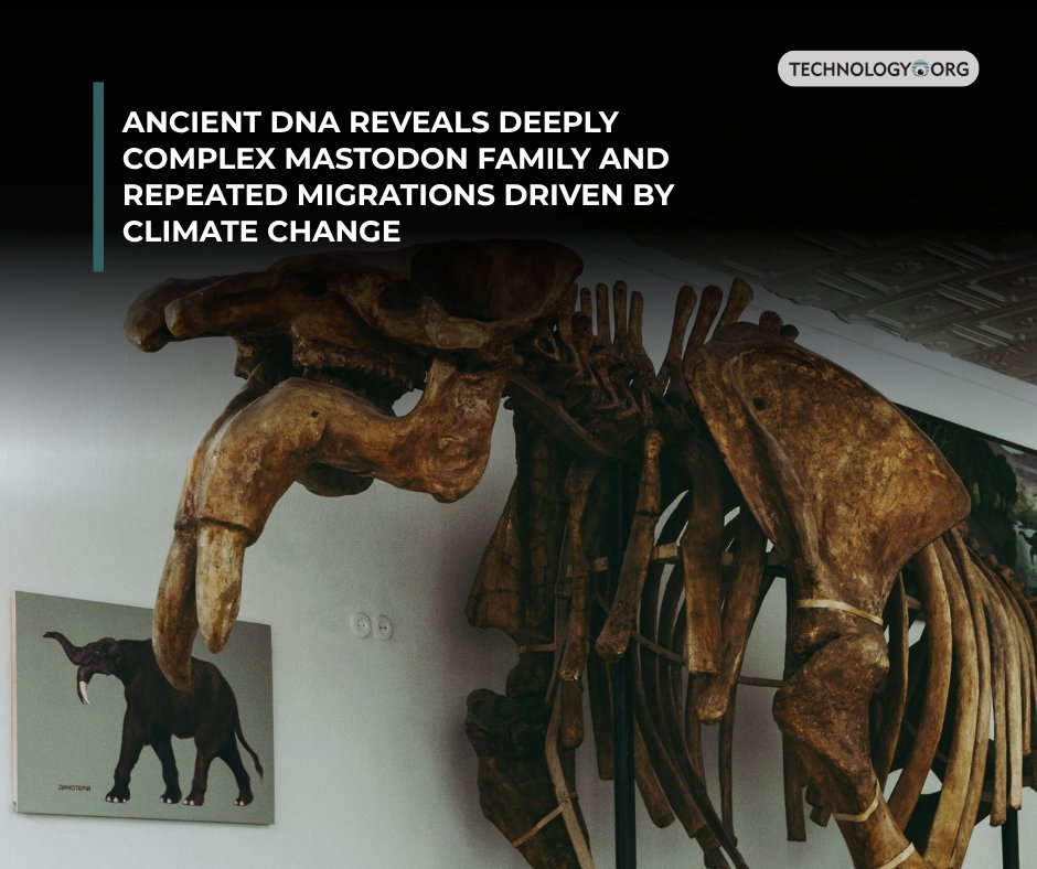 TechnologyOrg's tweet image. Turns out mastodons were way more complex than we thought.

Full article: technology.org/2025/10/08/anc…
 
#mastodon #mammoth #science #technology #news #technews