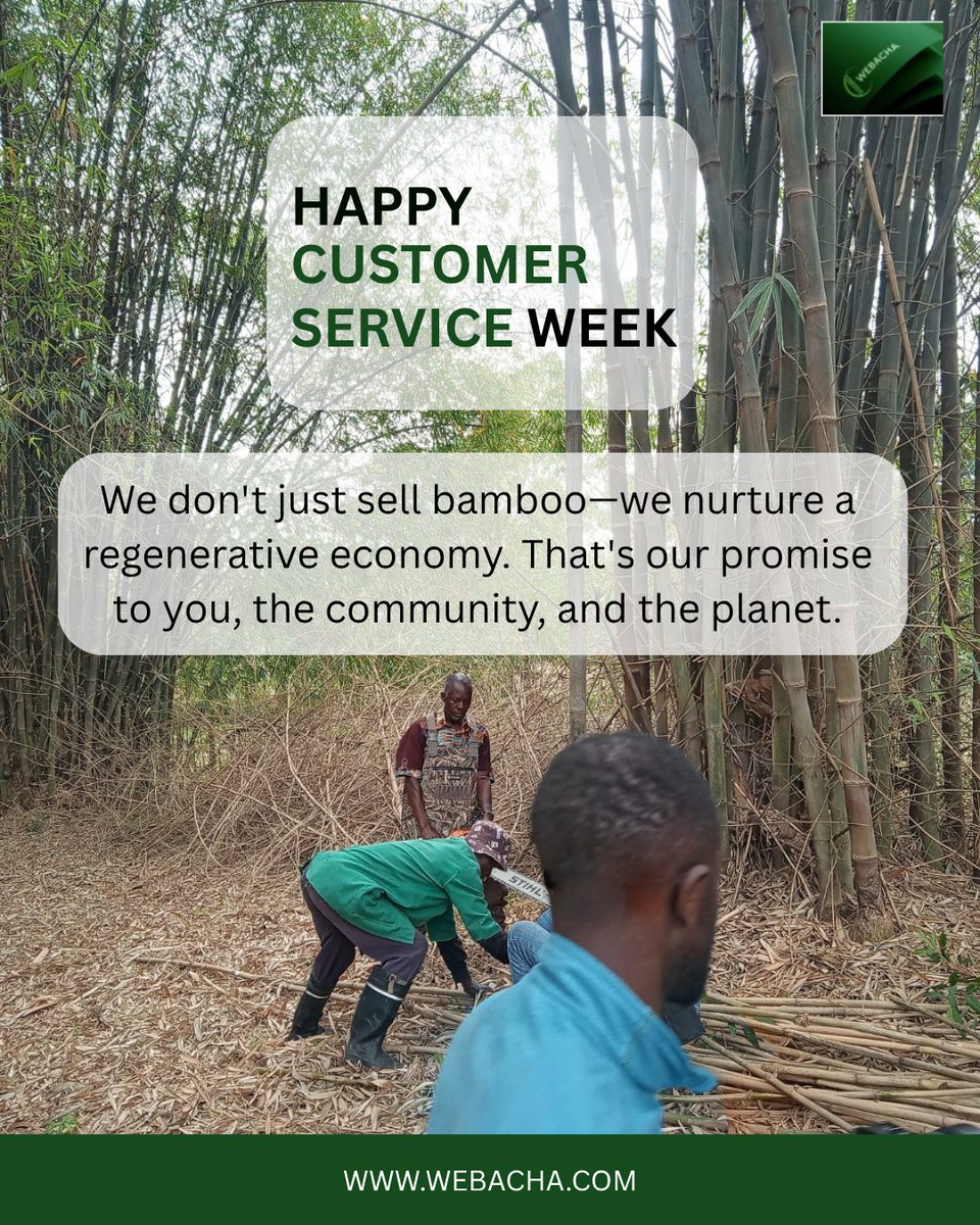 Happy #CustomerWeek! 💚
To everyone who believes in bamboo, sustainability, and positive change , we see you, we appreciate you, and we’re growing because of you. 🌿
Thank you for choosing Webacha! 🌍
#HappyCustomerWeek #EcoFriendlyLiving #ChooseBamboo #Webacha