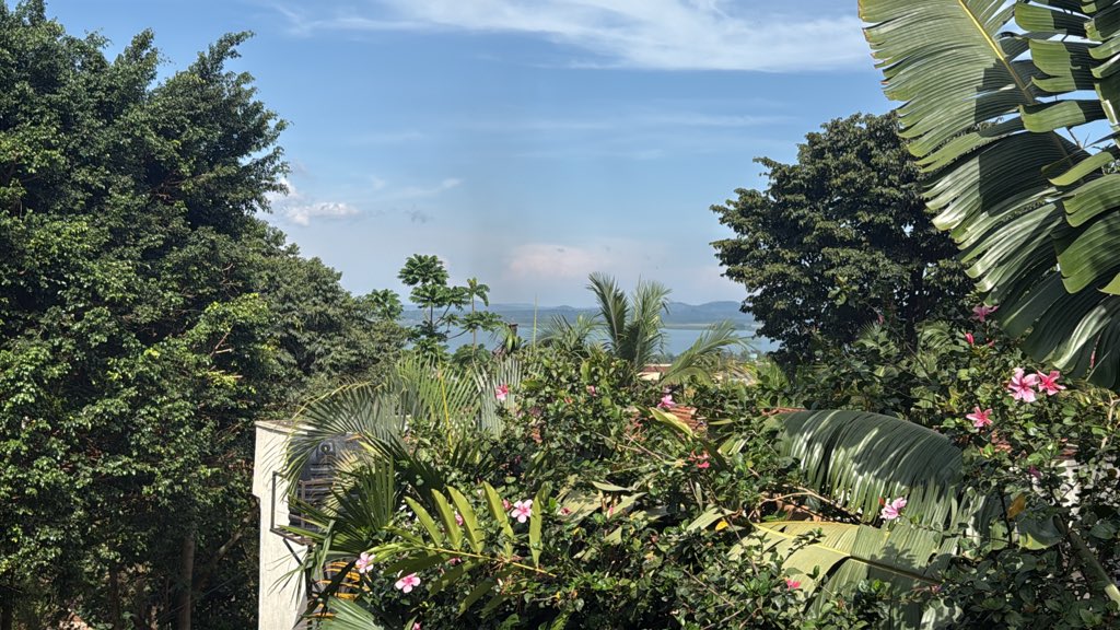 Eric Annan | AyaHQ | Blockchain Policy Advocate| tweet media