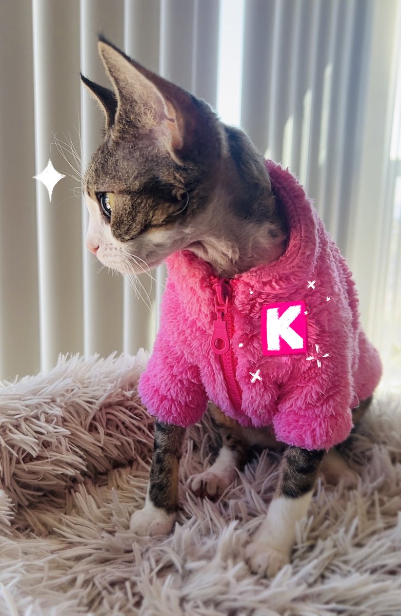 Ready to kill, Coin?  🐱⚔️❤️

#KITTY #NFTs #NFTCommunity #NFTCollection