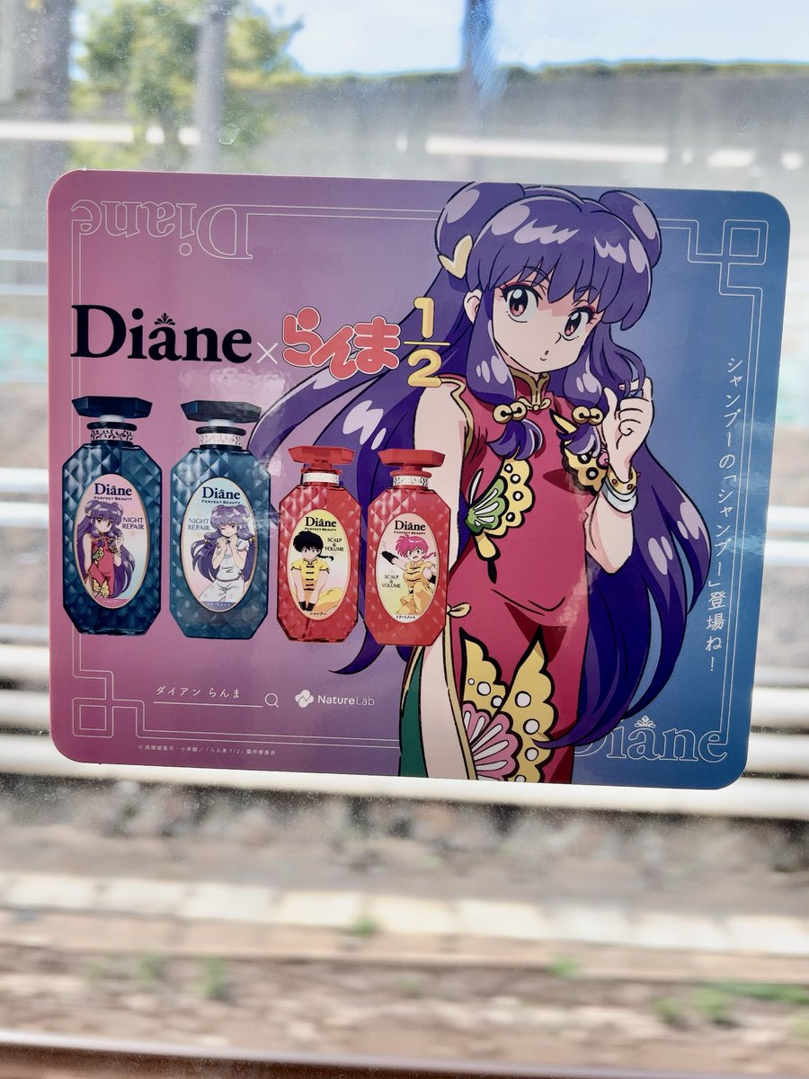 シャンプーのシャンプーかわよっ シャンプー見ると猫飯店メニュー