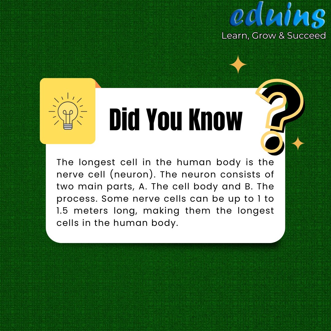 eduins_in's tweet image. Did You know ?
Boost your GK with EDUINS! Start smart learning today — anytime, anywhere! 📷 
Visit us: http://eduins.inYouTube Channel: youtube.com/@eduins2024 play.google.com/store/apps/det… Us: 9073335777 | 8100259209 #didyouknow #study #LearningTogether