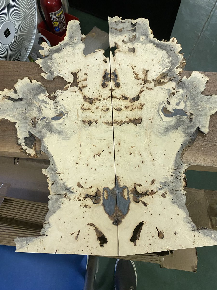 こんなものも端材に出てまーす！！
バックアイバールなのですが、虫食いが酷く、正規の商品としては出せないので、端材ということで出しました！！