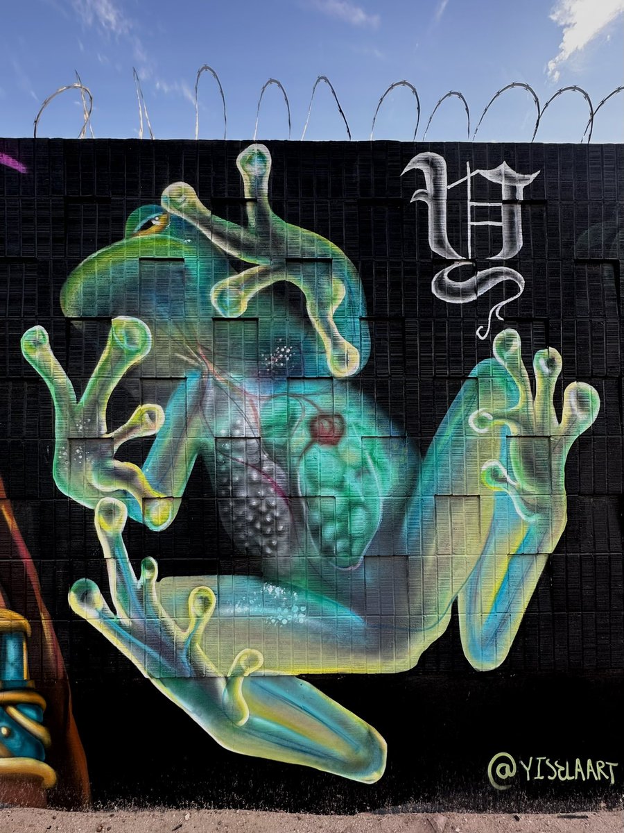 Glass frog spray paint study