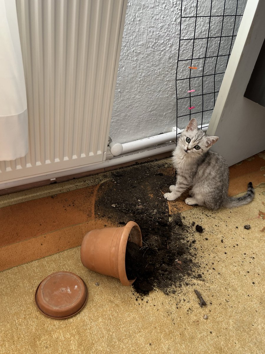 sonunda rahat ettin mi annem