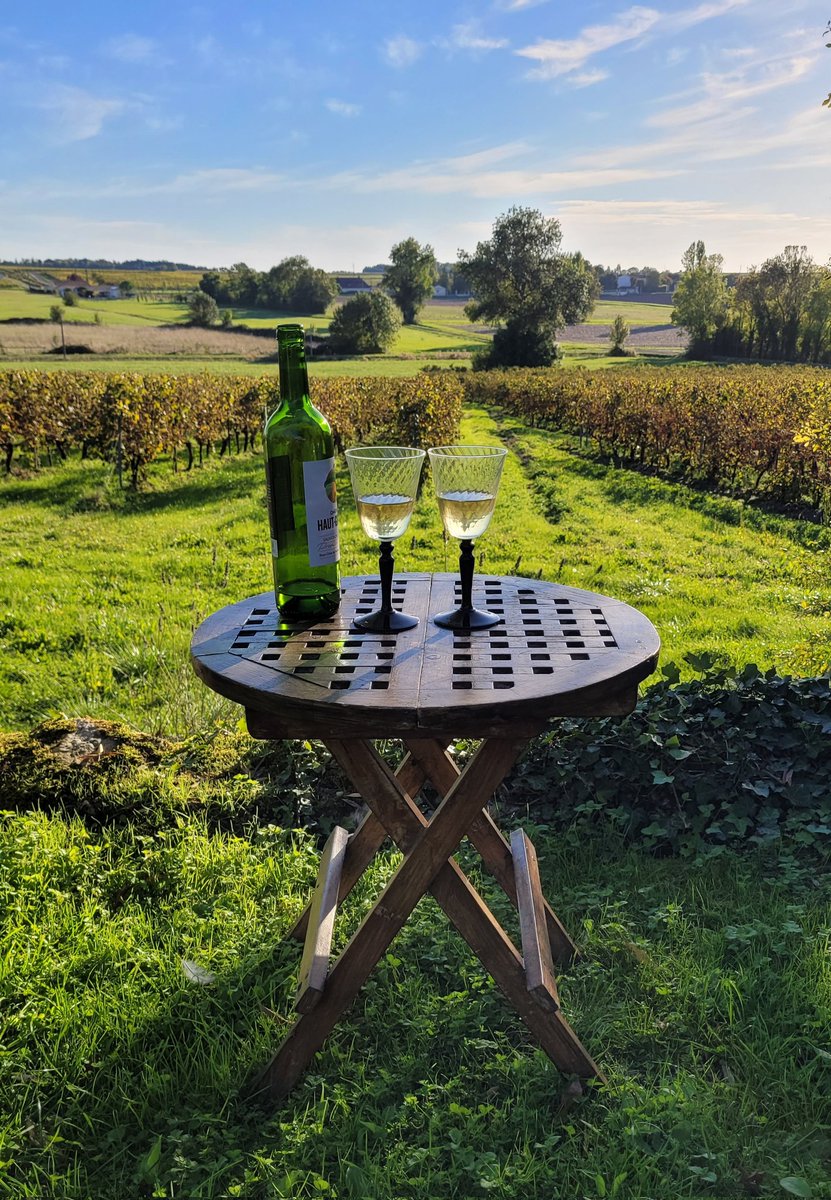 LeCourty's tweet photo. Peaceful moments at the end of the day
#vineyardview #ruralretreat #holidayvilla #villawithpool #holidayfrance #poitoucharentes #sawdaystravel https://t.co/ygTaCJLFg6