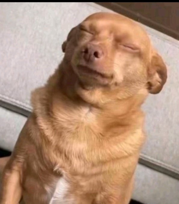 gm chat

bags to move, plays to make

alpha’s heating up today

&gt; <a href="/bitdealernet/">Bitdealer</a>
    <a href="/Hyperpiexyz_io/">Sudais Arafat</a>

   i’ll be there!!

   you coming!!