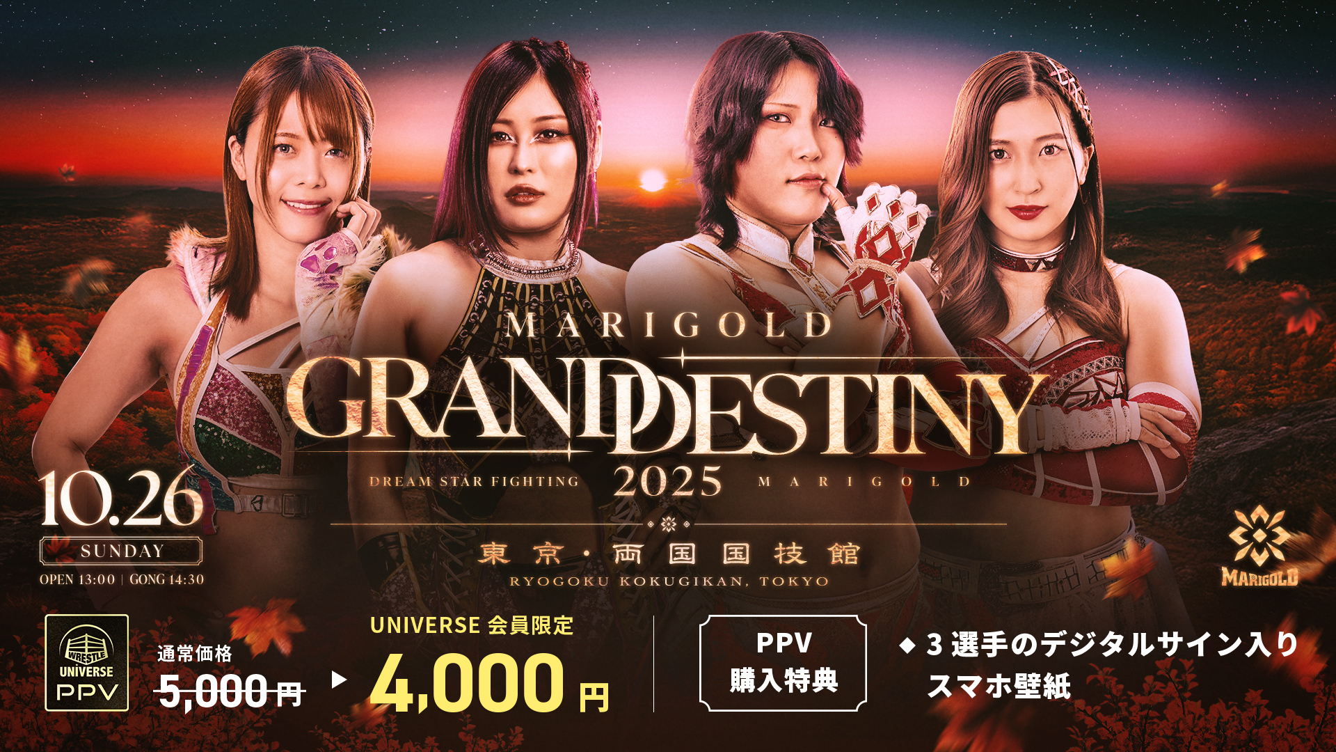 未開封品 GOLD VISION ゴールドビジョン DVDBOX (6巻セット) 未開封品 GOLD VISION ゴールドビジョン DVDBOX (6巻セット)