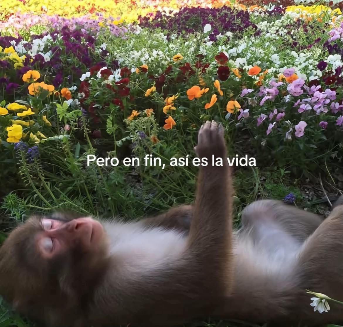 barbie_context's tweet photo. Yo después de contar mis traumas: https://t.co/vgxcXo26Ei