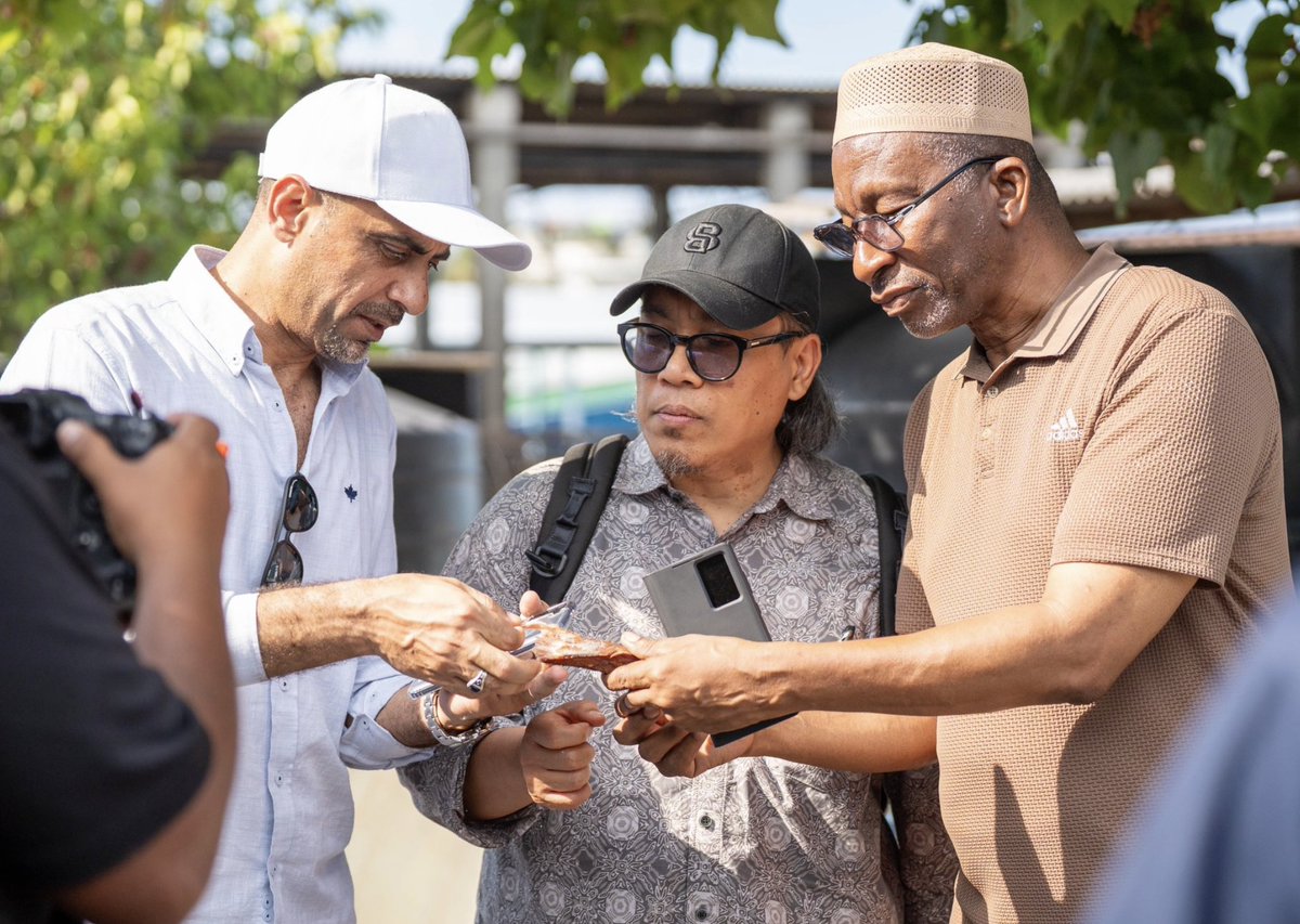 Lives and Livelihoods Fund (LLF) tweet media