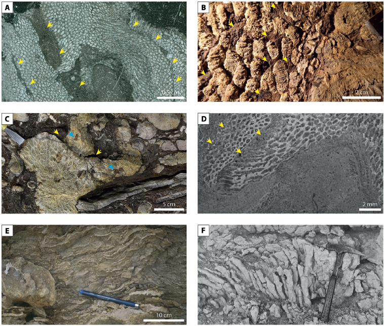 Stephen Lokier tweet media