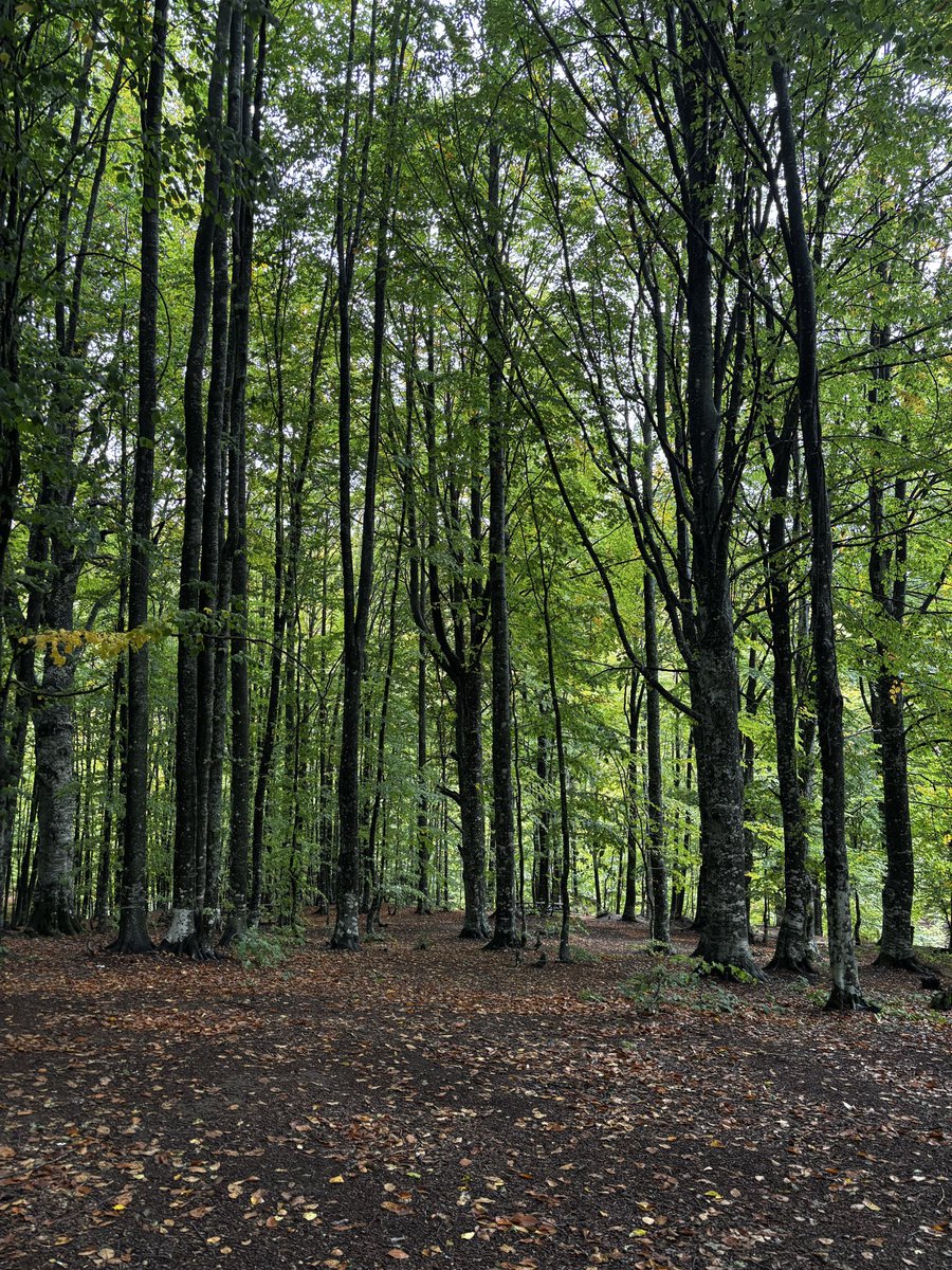 Ne güzel ülkemiz...
Bursa