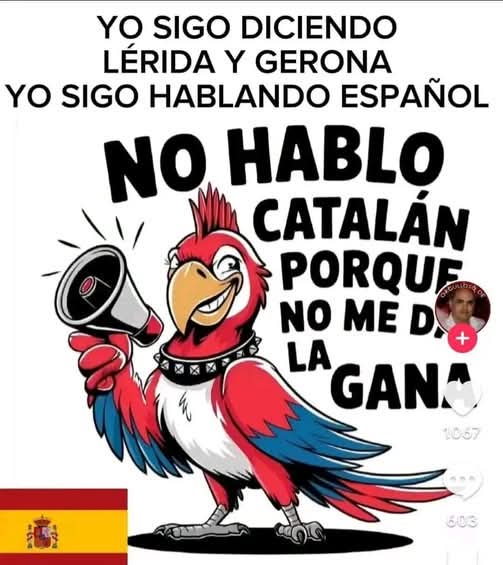 Zolxoníssimo (@eduardobr77) on Twitter photo 