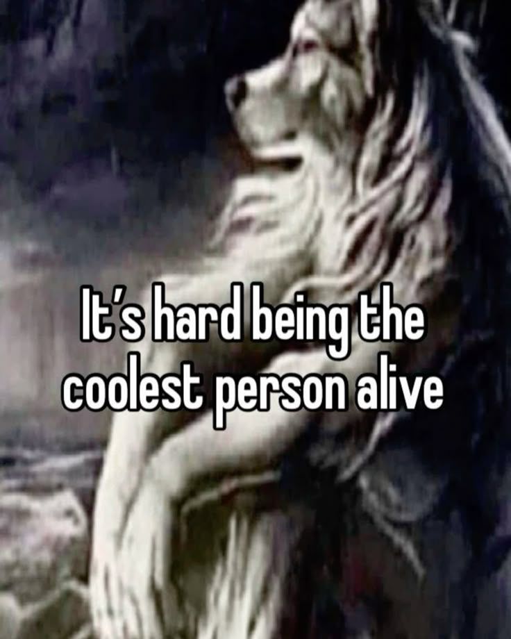 🕐HOURLY🕑 shitpost tweet media