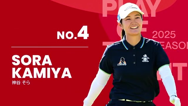 資生堂・JAL レディースオープン チケット ペア 2枚セット 資生堂・JAL