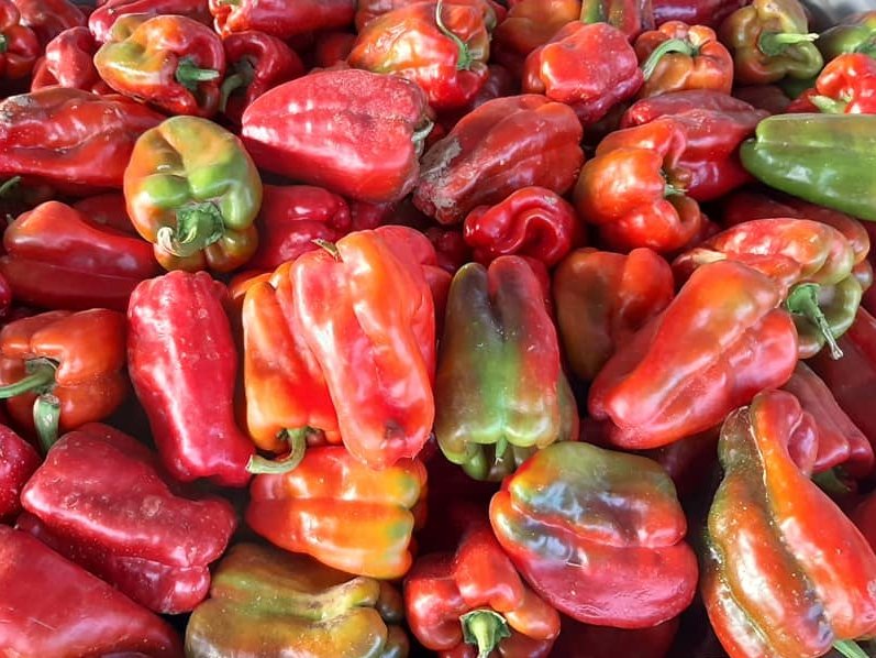 😍 Cultivados a 30 kilómetros de la Puerta del Sol. 

ℹ️ La sostenibilidad también pasa por la proximidad y por la reducción de las distancias en los canales de distribución y comercialización. 

#AsajaMadrid  #EnMadridTambiénHayCampo