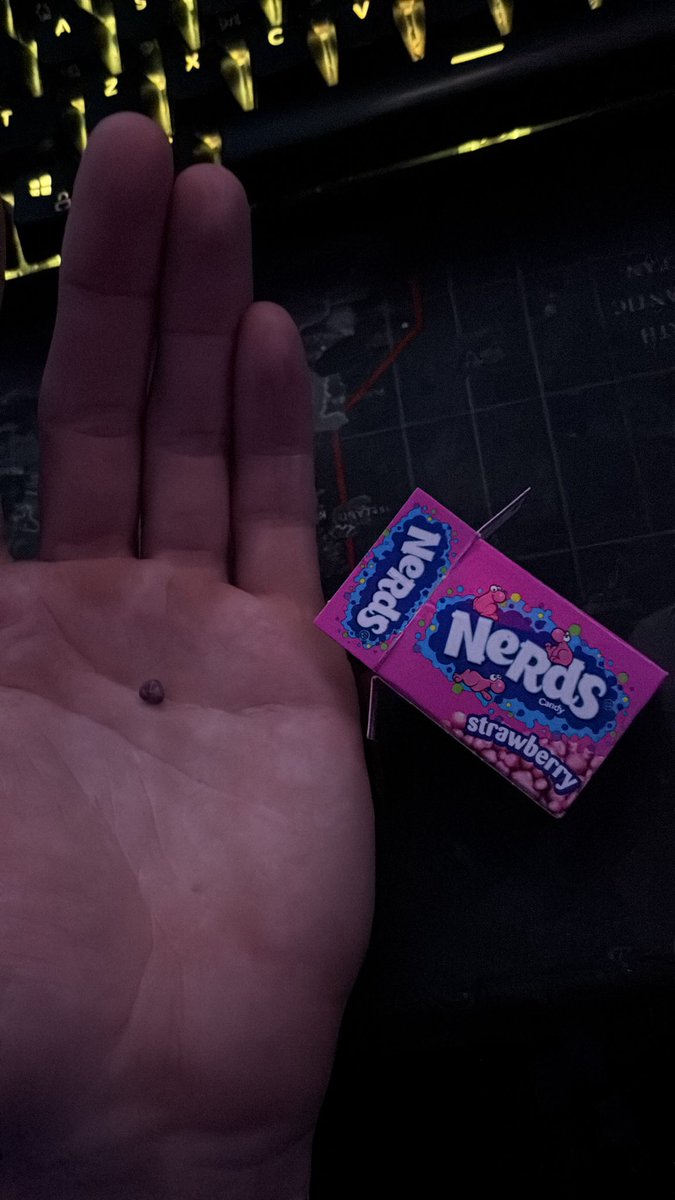 NotMk0's tweet image. Well well well, what do we have here…