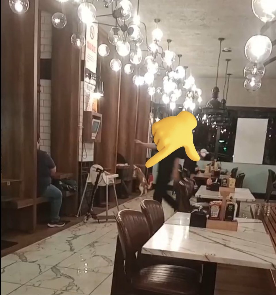 Güvenli Şehirler (@guvenlisehirler) on Twitter photo İstanbul Şişli <a href="/ErcanBurger/">Ercan Burger</a>'e eşiyle yemek yemeye giden takipçimiz bu manzarayla karşılaşıyor.
"İçeride köpek geziyordu, uyarmama rağmen hiç bir şey yapmadılar. Üstüne müşterimizi rahatsız etme dediler. Bende parayı köpekten kazanırsınız diyerek yemek yemeden çıktım." İstanbul Şişli <a href="/ErcanBurger/">Ercan Burger</a>'e eşiyle yemek yemeye giden takipçimiz bu manzarayla karşılaşıyor.
"İçeride köpek geziyordu, uyarmama rağmen hiç bir şey yapmadılar. Üstüne müşterimizi rahatsız etme dediler. Bende parayı köpekten kazanırsınız diyerek yemek yemeden çıktım."