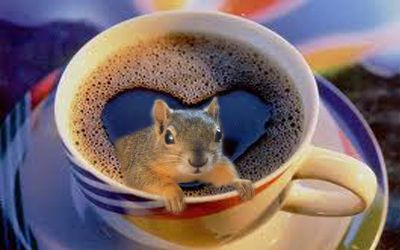 Café Covap ☕️ tweet media